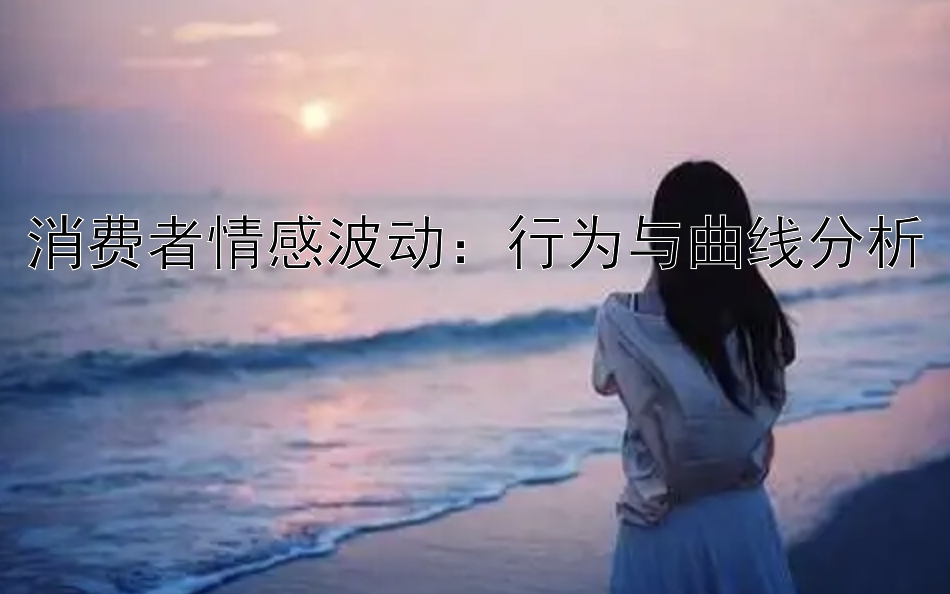 消费者情感波动：行为与曲线分析