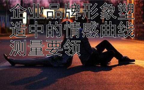 企业品牌形象塑造中的情感曲线测量要领