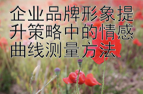 企业品牌形象提升策略中的情感曲线测量方法